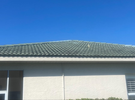 Are these warning signs telling you its time for professional roof cleaning